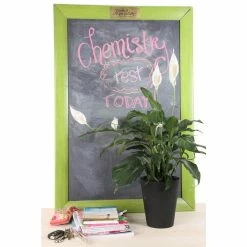 Vigoro 6 in. Peace Lily Indoor Plant in Small White Ribbed Plastic Decor Planter (2-Pack) -VIGORO Sales vigoro indoor plants co sy06 3 vi wh c3 1000