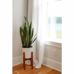 Vigoro 6 in. Sansevieria Snake Plant in Black Decor Pot -VIGORO Sales vigoro indoor plants sans6vigoro c3 1000
