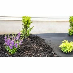 Vigoro 4 ft. x 50 ft. Point Bond Landscape Fabric -VIGORO Sales vigoro landscape fabric nmv04050b 44 1000