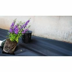 Vigoro 4 ft. x 100 ft. Weed Barrier Landscape Fabric -VIGORO Sales vigoro landscape fabric nmv04100b c3 1000