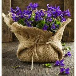 Vigoro 3 ft. x 24 ft. 100% Natural Burlap Landscape Fabric (2-Pack) 18 Vigoro 3 ft. x 24 ft. 100% Natural Burlap Landscape Fabric (2-Pack) -VIGORO Sales vigoro landscape fabric nmvb0324 2pk c3 1000