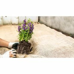 Vigoro 3 ft. x 24 ft. 100% Natural Burlap Landscape Fabric -VIGORO Sales vigoro landscape fabric nmvb0324 c3 1000