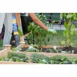 Vigoro 14 ft. x 14 ft. Polypropylene Bird Block Netting and Barrier -VIGORO Sales vigoro landscape fabric nmvbb1414 44 1000