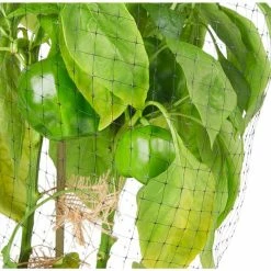 Vigoro 14 ft. x 45 ft. UV Treated Polypropylene Bird Block Netting and Barrier 21 Vigoro 14 ft. x 45 ft. UV Treated Polypropylene Bird Block Netting and Barrier -VIGORO Sales vigoro landscape fabric nmvbb1445 77 1000