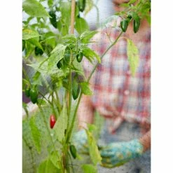 Vigoro 14 ft. x 45 ft. UV Treated Polypropylene Bird Block Netting and Barrier 26 Vigoro 14 ft. x 45 ft. UV Treated Polypropylene Bird Block Netting and Barrier -VIGORO Sales vigoro landscape fabric nmvbb1445 fa 1000