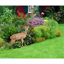Vigoro 7 ft. x 100 ft. Polypropylene Deer Block Netting Barrier, UV Treated (5-Pack) -VIGORO Sales vigoro landscape fabric nmvdb07100h 5pk 1d 1000