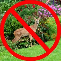 Vigoro 7 ft. x 100 ft. Polypropylene Deer Block Netting Barrier, UV Treated -VIGORO Sales vigoro landscape fabric nmvdb07100h 77 1000