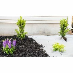 Vigoro 4 ft. x 100 ft. Matrix Grid Landscape Weed Control Fabric -VIGORO Sales vigoro landscape fabric vpnm410085 31 1000