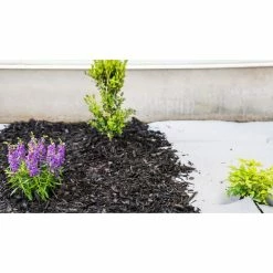 Vigoro 4 ft. x 50 ft. Matrix Grid Landscape Fabric -VIGORO Sales vigoro landscape fabric vpnm45085 31 1000