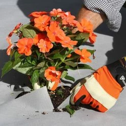 Vigoro 4 ft. x 50 ft. Matrix Grid Heavy-Duty Landscape Fabric (4-Pack) 18 Vigoro 4 ft. x 50 ft. Matrix Grid Heavy-Duty Landscape Fabric (4-Pack) -VIGORO Sales vigoro landscape fabric vpnm45085 4pk 66 1000