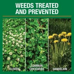 Vigoro 32 lbs. 10,000 sq. ft. Weed and Feed Weed Killer Plus Lawn Fertilizer for Florida Grass Types -VIGORO Sales vigoro lawn fertilizers 22562 1 c3 1000