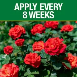 Vigoro 3.5 lb. All Season Rose Plant Food (12-6-10) 13 Vigoro 3.5 lb. All Season Rose Plant Food (12-6-10) -VIGORO Sales vigoro plant food fertilizer 124250 1f 1000