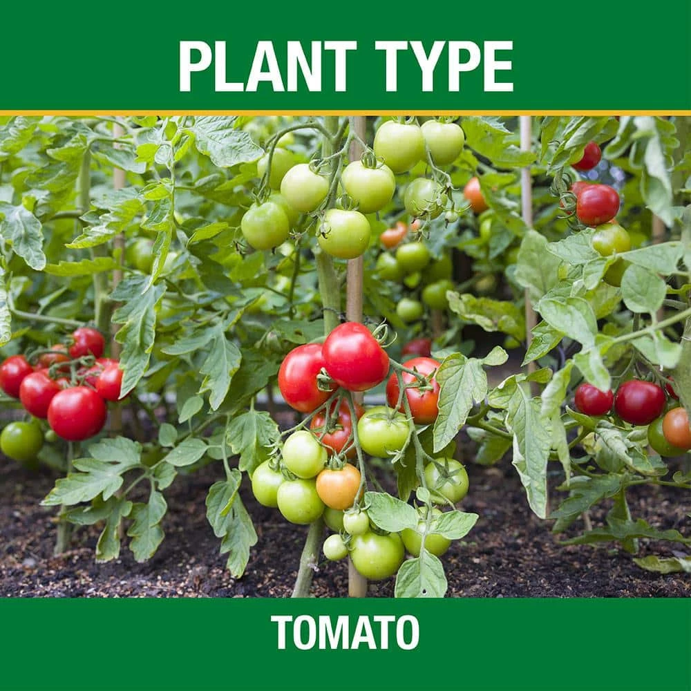 Vigoro 3.5 lb. All Season Tomato and Vegetable Garden Plant Food Plus Calcium (12-10-5) 4 Vigoro 3.5 lb. All Season Tomato and Vegetable Garden Plant Food Plus Calcium (12-10-5) - Image 2
