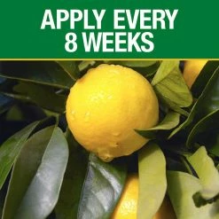 Vigoro 3.5 lb. All Season Citrus and Avocado Plant Food (6-4-6) -VIGORO Sales vigoro plant food fertilizer 133244 1f 1000