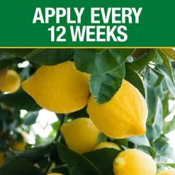 Vigoro 4.2 lb. All Season Fruit, Nut and Citrus Fertilizer Spikes (16-4-8) (15-Count) 9 Vigoro 4.2 lb. All Season Fruit, Nut and Citrus Fertilizer Spikes (16-4-8) (15-Count) -VIGORO Sales vigoro plant food fertilizer 154306 1f 1000