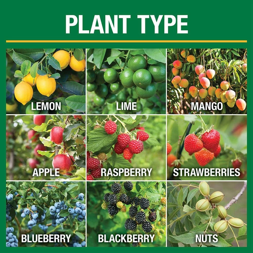 Vigoro 4.2 lb. All Season Fruit, Nut and Citrus Fertilizer Spikes (16-4-8) (15-Count) 4 Vigoro 4.2 lb. All Season Fruit, Nut and Citrus Fertilizer Spikes (16-4-8) (15-Count) - Image 2