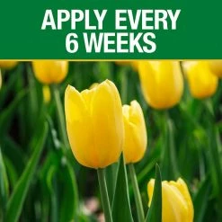 Vigoro 3.5 lb. All Season Bulb Fuel Plant Food (9-9-6) 9 Vigoro 3.5 lb. All Season Bulb Fuel Plant Food (9-9-6) -VIGORO Sales vigoro plant food fertilizer 156269 1f 1000