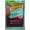 Vigoro 20 lb. All Season Ixora and Ornamental Plant Food (8-4-8) 1 Vigoro 20 lb. All Season Ixora and Ornamental Plant Food (8-4-8) -VIGORO Sales vigoro plant food fertilizer 162227 64 1000