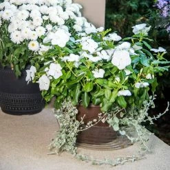 Vigoro 12 in. Plastic Deep Planter Liner -VIGORO Sales vigoro plant liners dl12vg 4f 1000