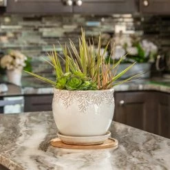 Vigoro 10 in. Bamboo Plant Saucer -VIGORO Sales vigoro planter saucers bbs10vg 1f 1000