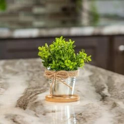 Vigoro 4 in. Bamboo Plant Saucer -VIGORO Sales vigoro planter saucers bbs4vg 1f 1000