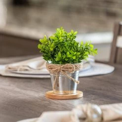 Vigoro 4 in. Bamboo Plant Saucer -VIGORO Sales vigoro planter saucers bbs4vg 44 1000