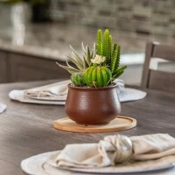 Vigoro 8 in. Bamboo Plant Saucer 12 Vigoro 8 in. Bamboo Plant Saucer -VIGORO Sales vigoro planter saucers bbs8vg 1f 1000