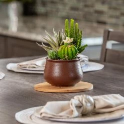 Vigoro 8 in. Bamboo Plant Saucer 13 Vigoro 8 in. Bamboo Plant Saucer -VIGORO Sales vigoro planter saucers bbs8vg 44 1000