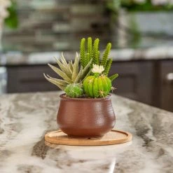 Vigoro 8 in. Bamboo Plant Saucer 14 Vigoro 8 in. Bamboo Plant Saucer -VIGORO Sales vigoro planter saucers bbs8vg fa 1000