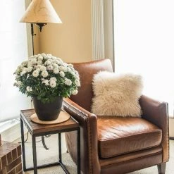 Vigoro 10 in. Cork Mat -VIGORO Sales vigoro planter saucers cm10phbdi 1f 1000