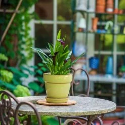 Vigoro 6 in. Cork Mat -VIGORO Sales vigoro planter saucers cm6phbdi fa 1000