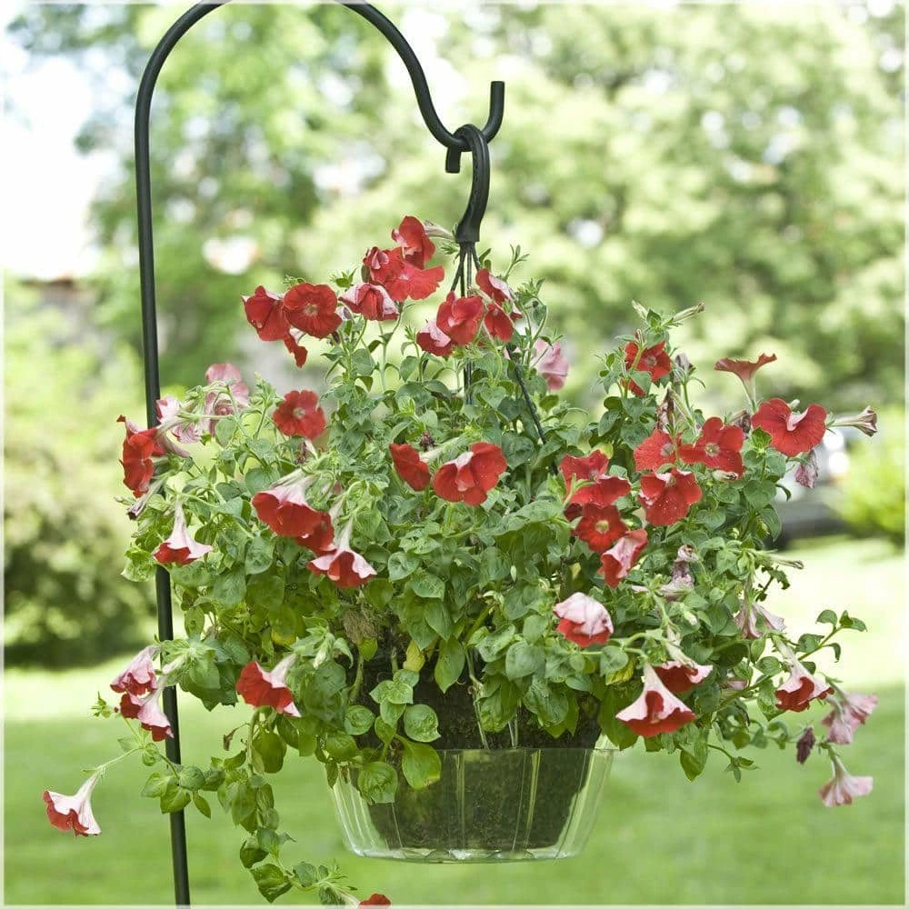 Vigoro Drip Catcher Hanging Saucer 4 Vigoro Drip Catcher Hanging Saucer - Image 2