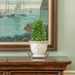 Vigoro 10 in. Heavy Duty Plant Saucer -VIGORO Sales vigoro planter saucers sp10vg 1f 1000