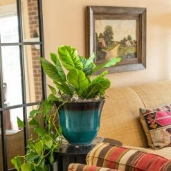 Vigoro 12 in. Heavy Duty Plant Saucer -VIGORO Sales vigoro planter saucers sp12vg 44 1000