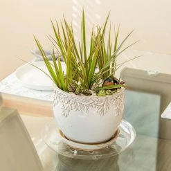 Vigoro 12 in. Heavy Duty Plant Saucer -VIGORO Sales vigoro planter saucers sp12vg 4f 1000