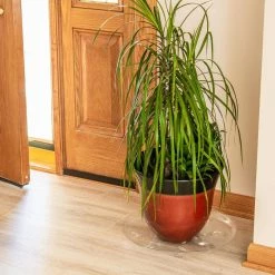 Vigoro 16 in. Heavy Duty Planter Saucer -VIGORO Sales vigoro planter saucers sp16vg 4f 1000