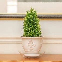 Vigoro 8 in. Heavy Duty Plant Saucer -VIGORO Sales vigoro planter saucers sp8vg 1f 1000