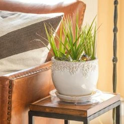 Vigoro 10 in. Plastic Plant Saucer -VIGORO Sales vigoro planter saucers vs10vg 44 1000