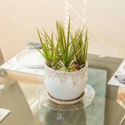 Vigoro 12 in. Plastic Plant Saucer -VIGORO Sales vigoro planter saucers vs12vg 44 1000