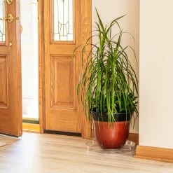 Vigoro 14 in. Plastic Plant Saucer -VIGORO Sales vigoro planter saucers vs14vg 1f 1000