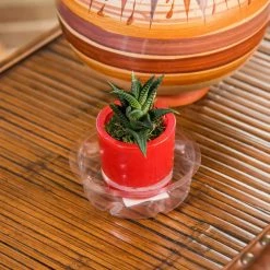 Vigoro 4 in. Plastic Plant Saucer -VIGORO Sales vigoro planter saucers vs4vg 4f 1000