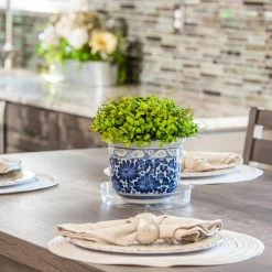 Vigoro 6 in. Plastic Plant Saucer -VIGORO Sales vigoro planter saucers vs6vg 1f 1000