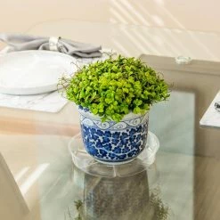 Vigoro 8 in. Plastic Plant Saucer -VIGORO Sales vigoro planter saucers vs8vg 4f 1000