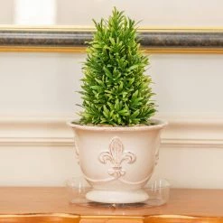 Vigoro 8 in. Plastic Plant Saucer -VIGORO Sales vigoro planter saucers vs8vg fa 1000