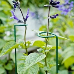 Vigoro 18 in. H x 1.50 in. W Steel Plant Prop -VIGORO Sales vigoro tomato cages 611872 hd 44 1000