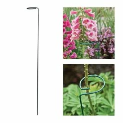 Vigoro 36 in. H x 2.24 in. W Metal Plant Prop -VIGORO Sales vigoro tomato cages 613672 hd 44 1000