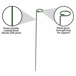 Vigoro 36 in. H x 2.24 in. W Metal Plant Prop -VIGORO Sales vigoro tomato cages 613672 hd 4f 1000