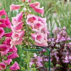 Vigoro 36 in. H x 2.24 in. W Metal Plant Prop -VIGORO Sales vigoro tomato cages 613672 hd fa 1000