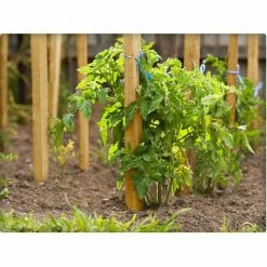 Vigoro 4 ft. Wooden Garden Stake 8 Vigoro 4 ft. Wooden Garden Stake -VIGORO Sales vigoro tomato cages rc 84n 4f 1000