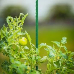 Vigoro 4 ft. Green Colored Steel Core Garden Stake 17 Vigoro 4 ft. Green Colored Steel Core Garden Stake -VIGORO Sales vigoro tomato cages st4vg 76 1000